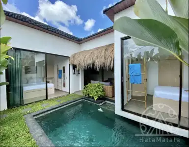 Buy in Indonesia for 110000$