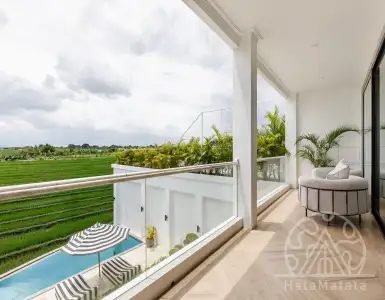Buy in Indonesia for 2000000$