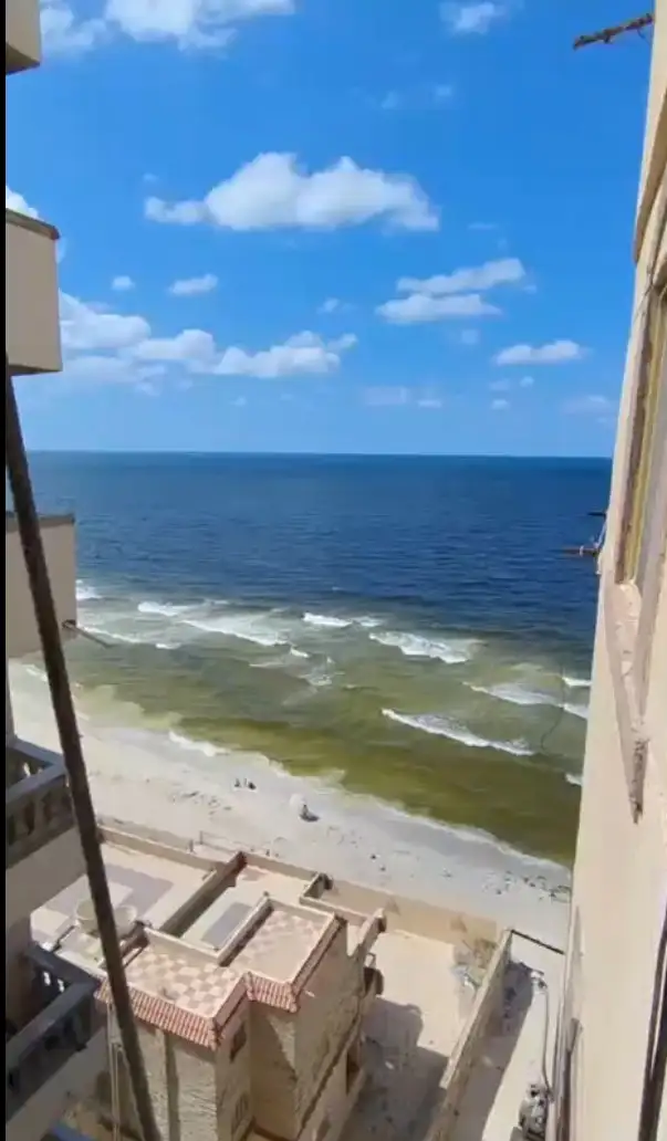 Flat 75m² in Egypt, Alexandria. Priced at 27000€ rent photo-1