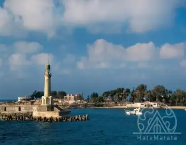 Buy in Egypt for 47000€