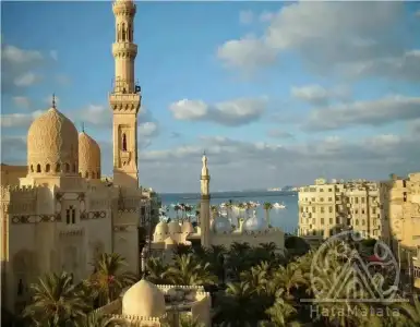 Buy in Egypt for 40000€