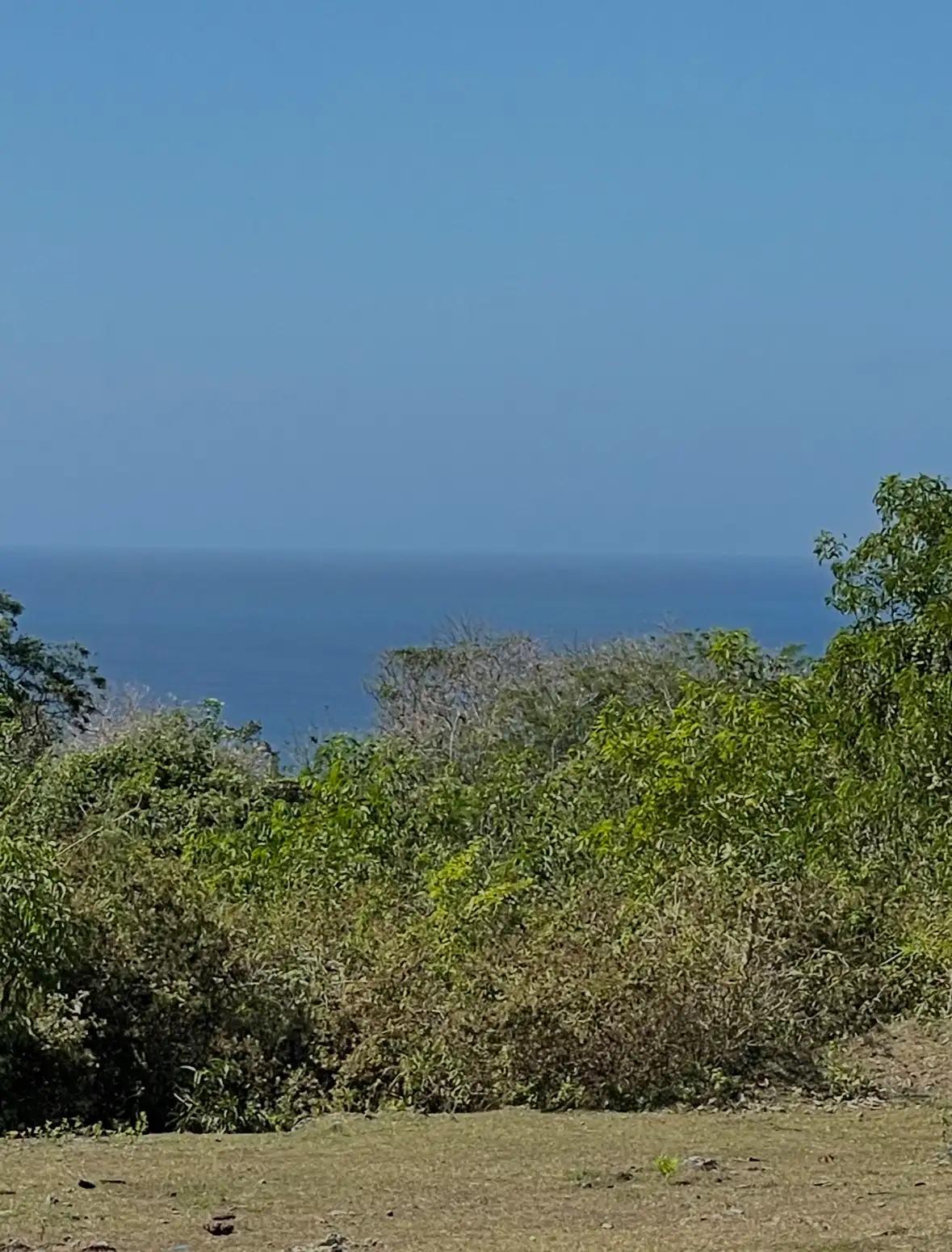 Land 2500m² in Indonesia, Bukit. Priced at 1510000$ rent photo-9
