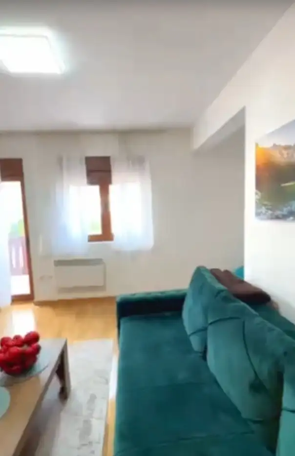 Flat 37m² in Serbia, Zlatibor. Priced at 67000€ rent photo-3