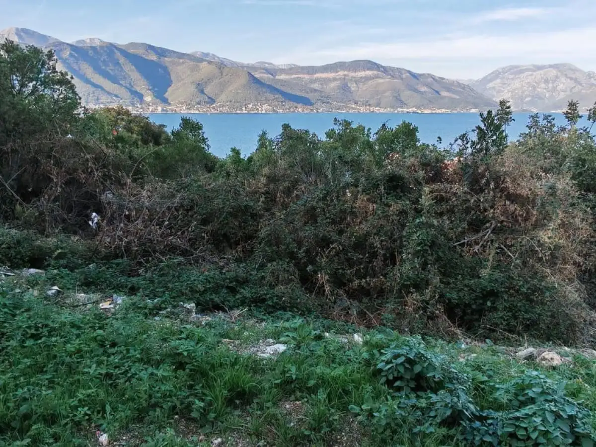Land 1m² in Montenegro, Krasici. Priced at 55000€ rent photo-3