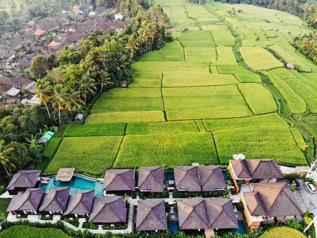 Other Properties 920m² in Indonesia, Ubud. Priced at 1509000$ rent photo-1