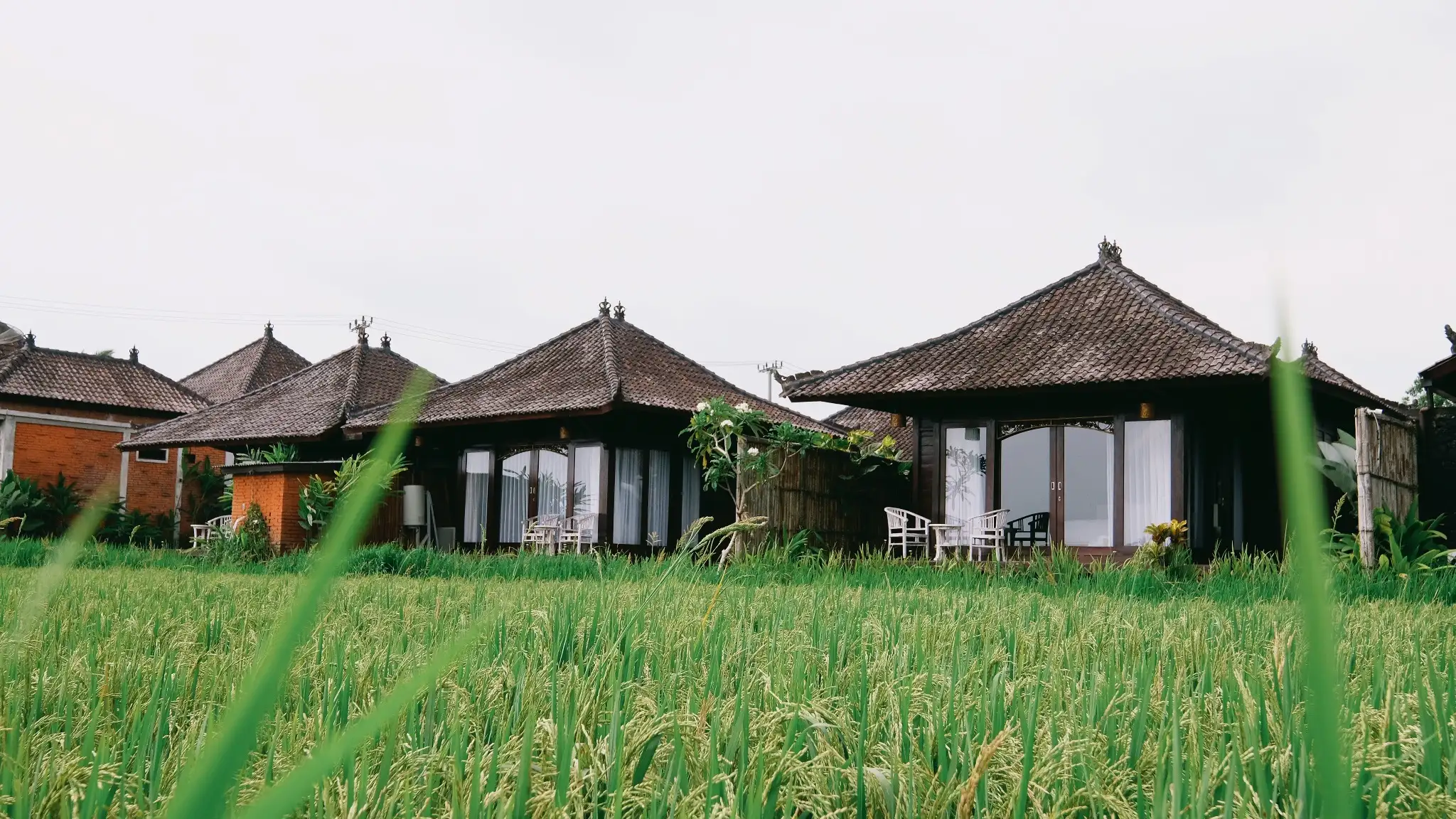 Other Properties 920m² in Indonesia, Ubud. Priced at 1509000$ rent photo-8