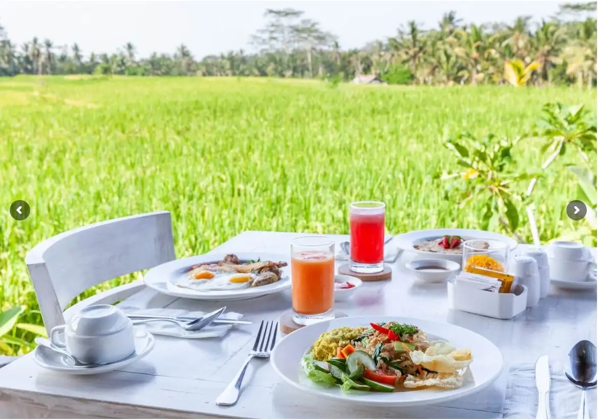 Other Properties 920m² in Indonesia, Ubud. Priced at 1509000$ rent photo-14