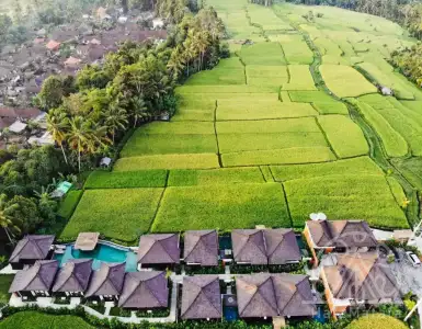 Buy in Indonesia for 1509000$