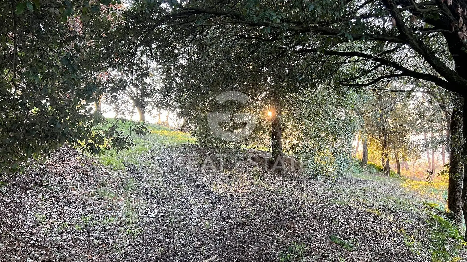 House 249m² in Italy, Siena. Priced at 620000€ rent photo-15
