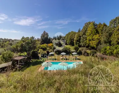 Buy in Italy for 1400000€