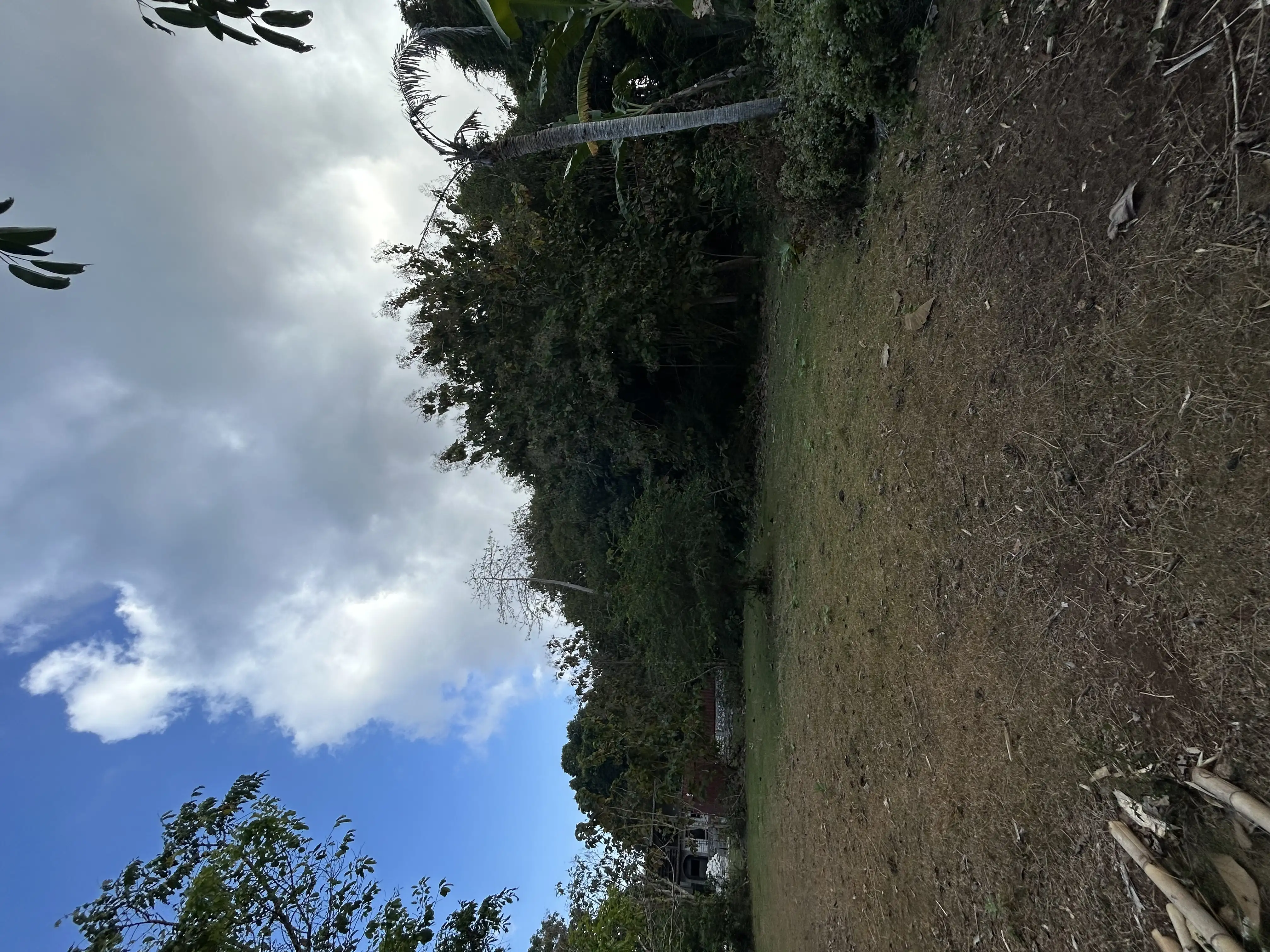 Land 0m² in Indonesia, Bukit. Priced at 65500$ rent photo-2