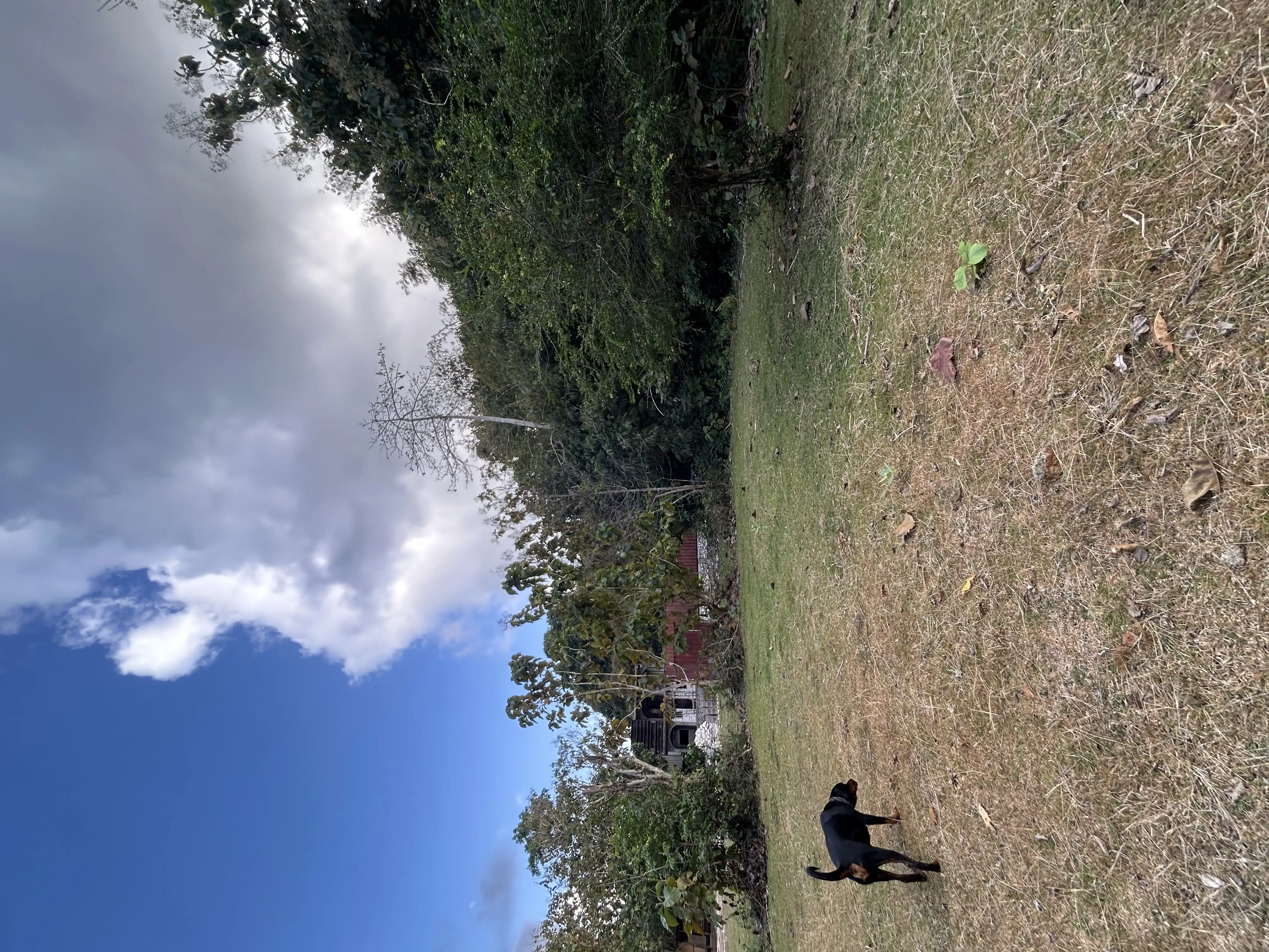 Land 0m² in Indonesia, Bukit. Priced at 65500$ rent photo-4