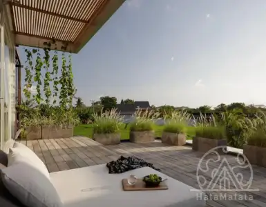 Buy in Indonesia for 135000$