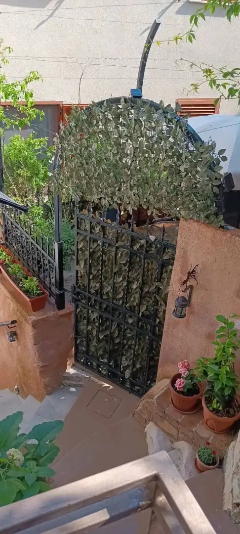 Hotels 81m² in Croatia, Rovinj. Priced at 810000€ rent photo-11