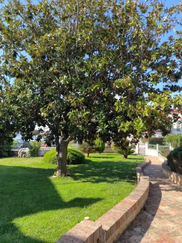 Villa 380m² in Croatia, Umag. Priced at 1850000€ rent photo-4