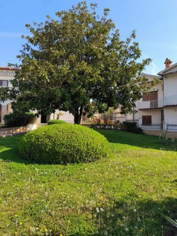 Villa 380m² in Croatia, Umag. Priced at 1850000€ rent photo-13