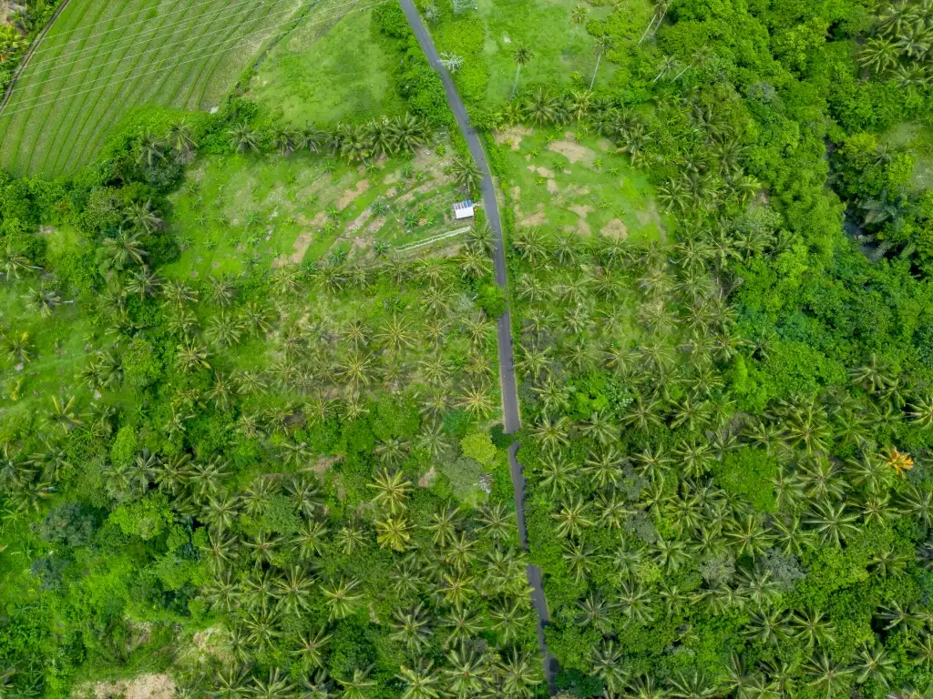 Land 0m² in Indonesia, Balian. Priced at 78200$ rent photo-1