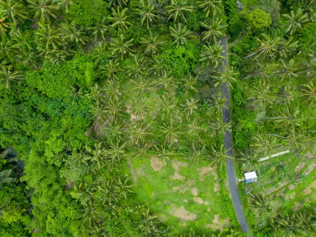 Land 0m² in Indonesia, Balian. Priced at 78200$ rent photo-2