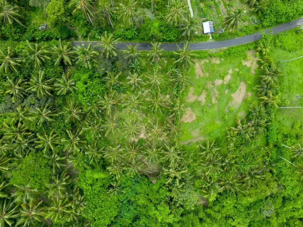Land 0m² in Indonesia, Balian. Priced at 78200$ rent photo-3
