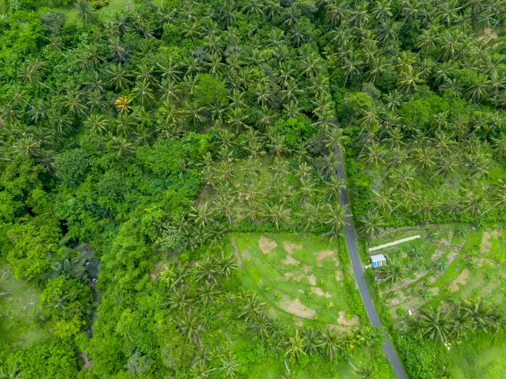 Land 0m² in Indonesia, Balian. Priced at 78200$ rent photo-4