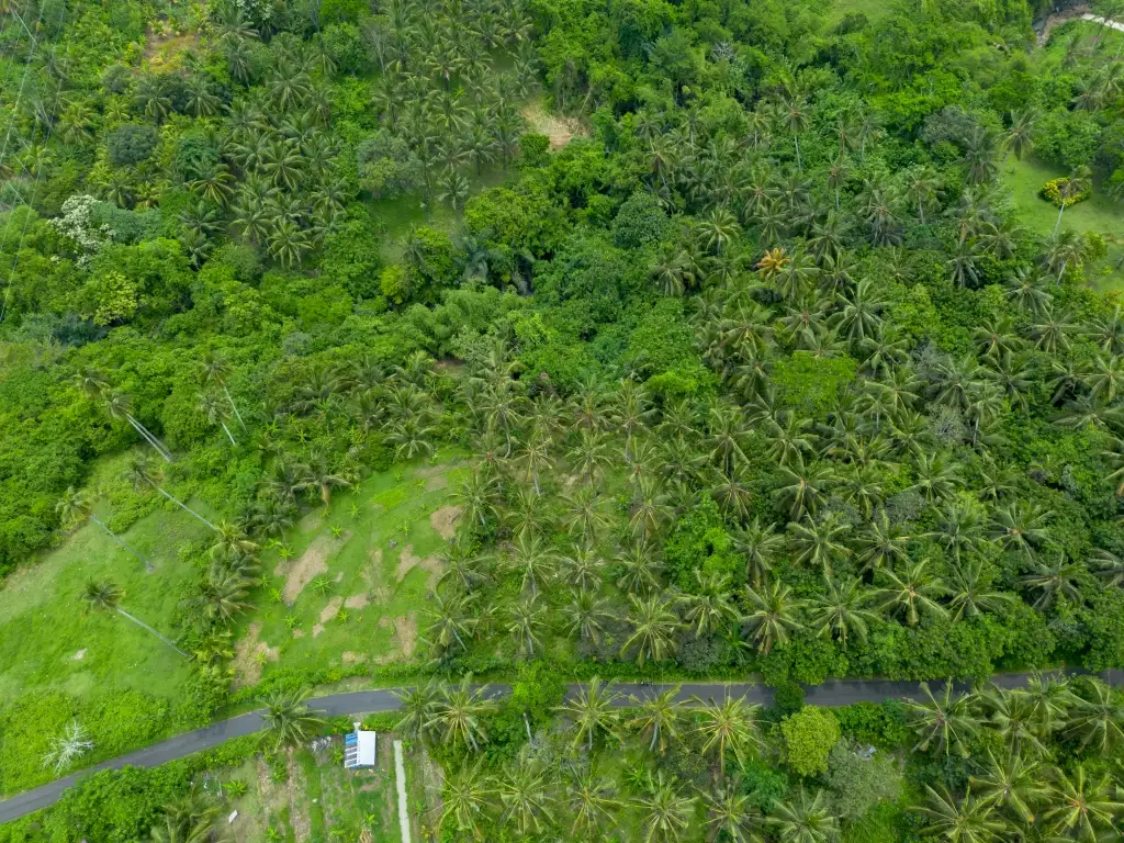 Land 0m² in Indonesia, Balian. Priced at 78200$ rent photo-5