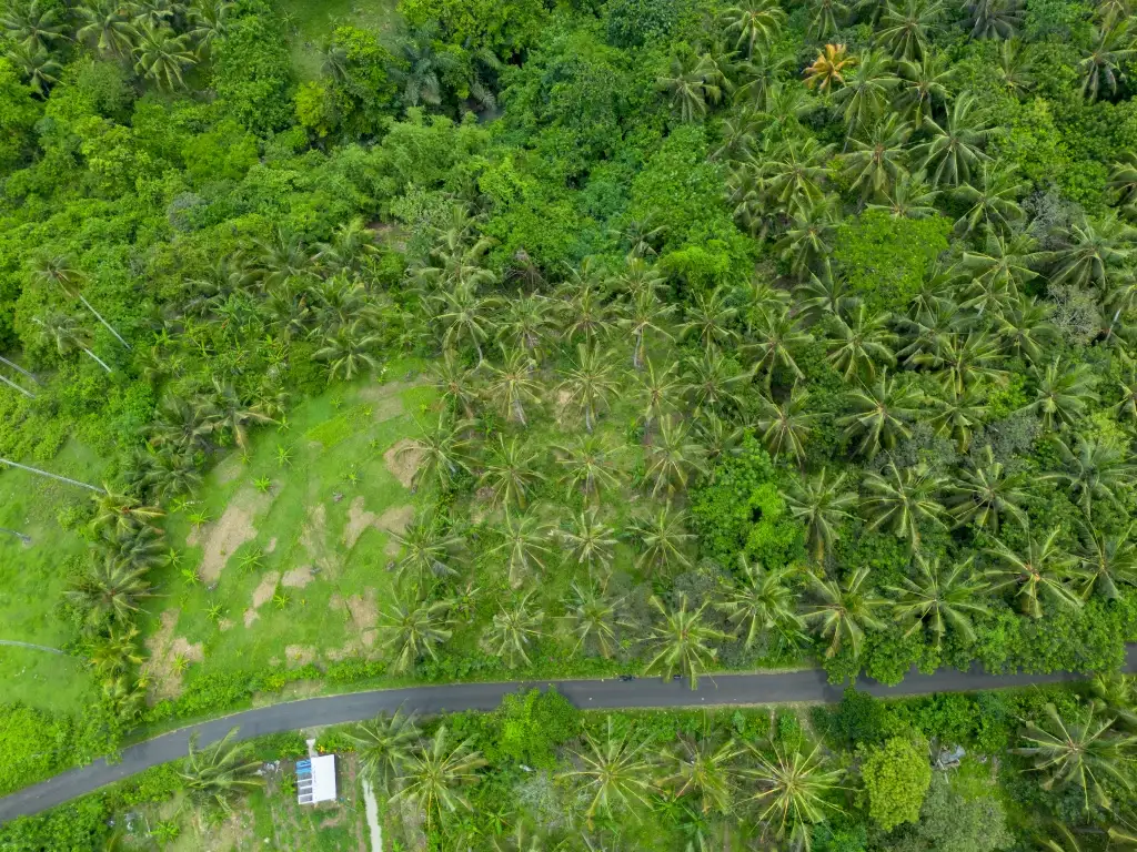 Land 0m² in Indonesia, Balian. Priced at 78200$ rent photo-6