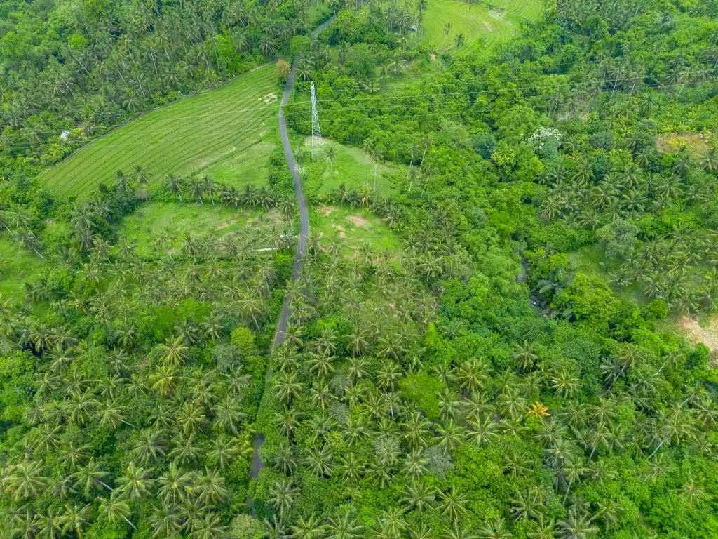 Land 0m² in Indonesia, Balian. Priced at 78200$ rent photo-7