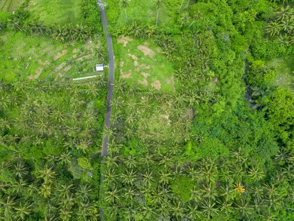 Land 0m² in Indonesia, Balian. Priced at 78200$ rent photo-8