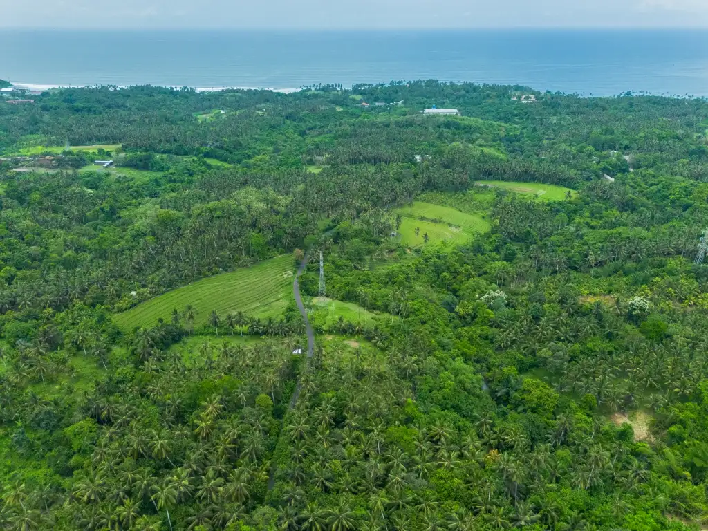 Land 0m² in Indonesia, Balian. Priced at 78200$ rent photo-10