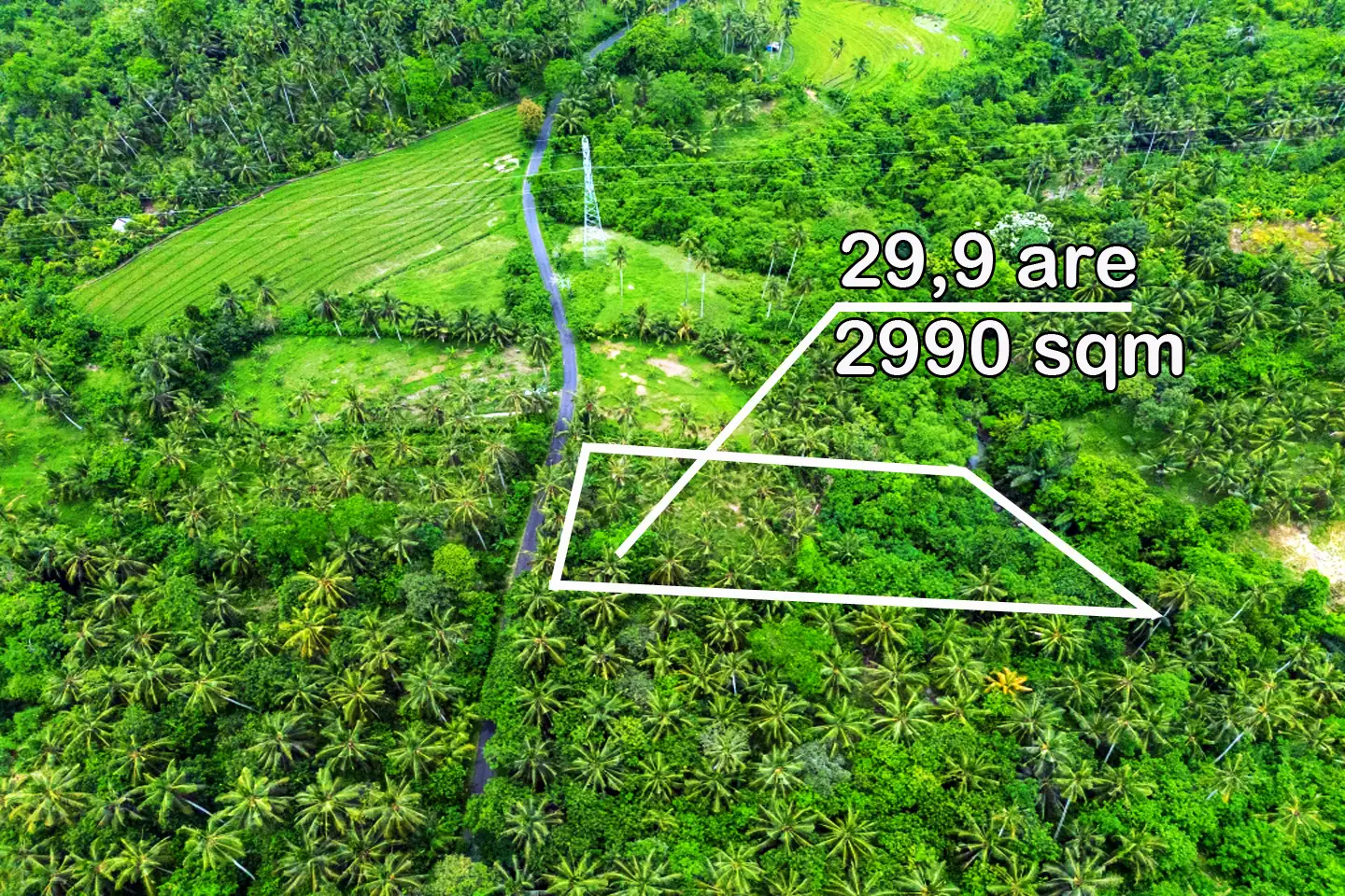 Land 0m² in Indonesia, Balian. Priced at 78200$ rent photo-11