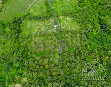 Rent in Indonesia for 78200$