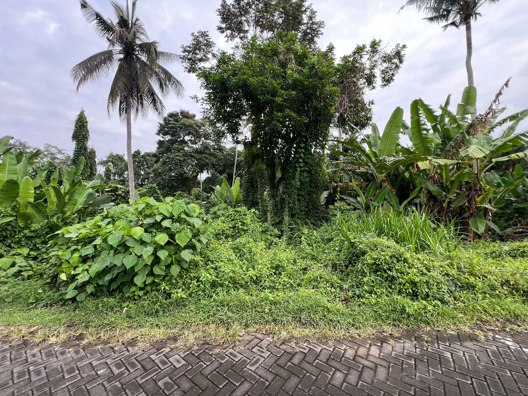 Land 0m² in Indonesia, Ubud. Priced at 224500$ rent photo-2