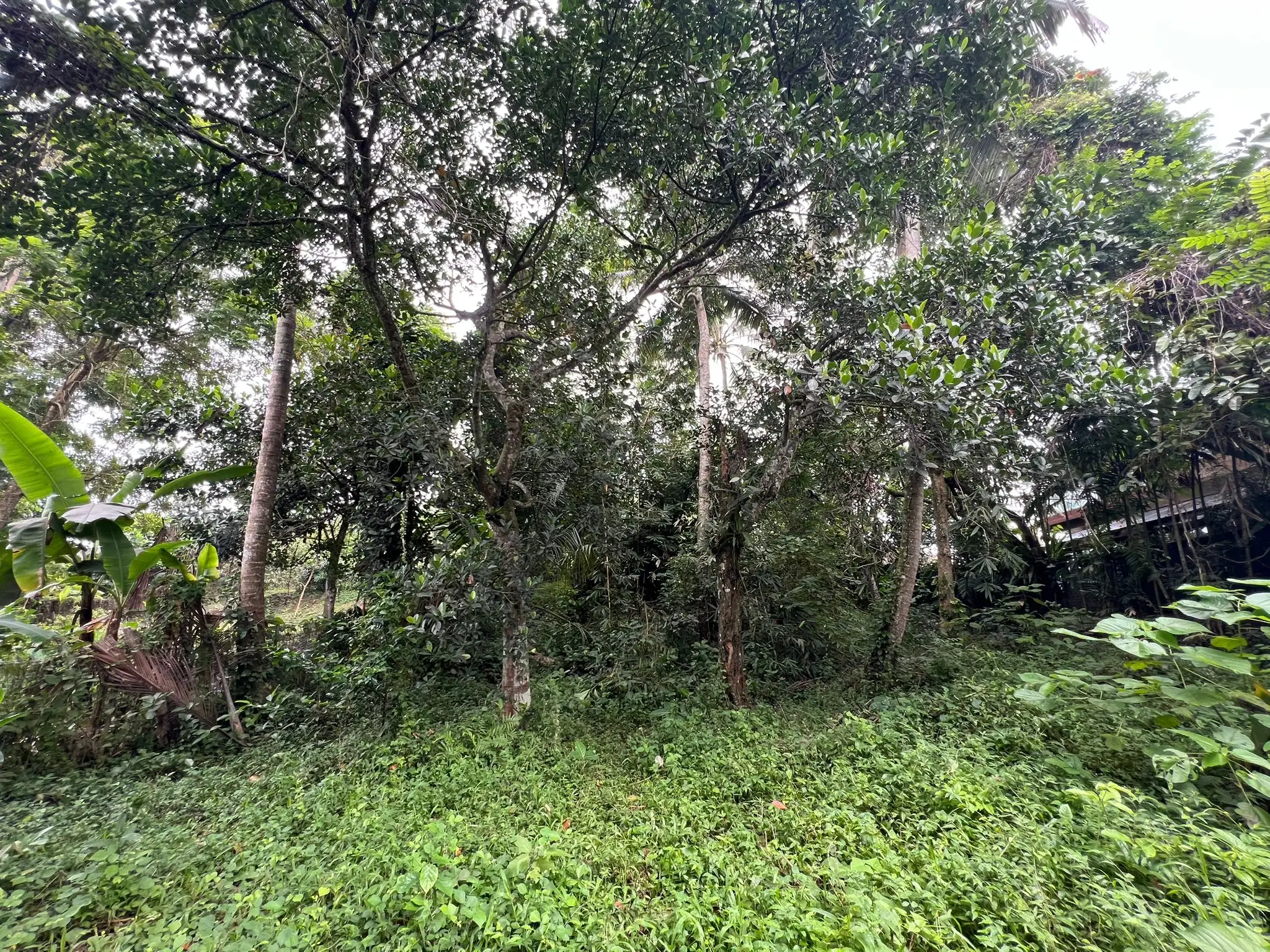 Land 0m² in Indonesia, Ubud. Priced at 224500$ rent photo-3