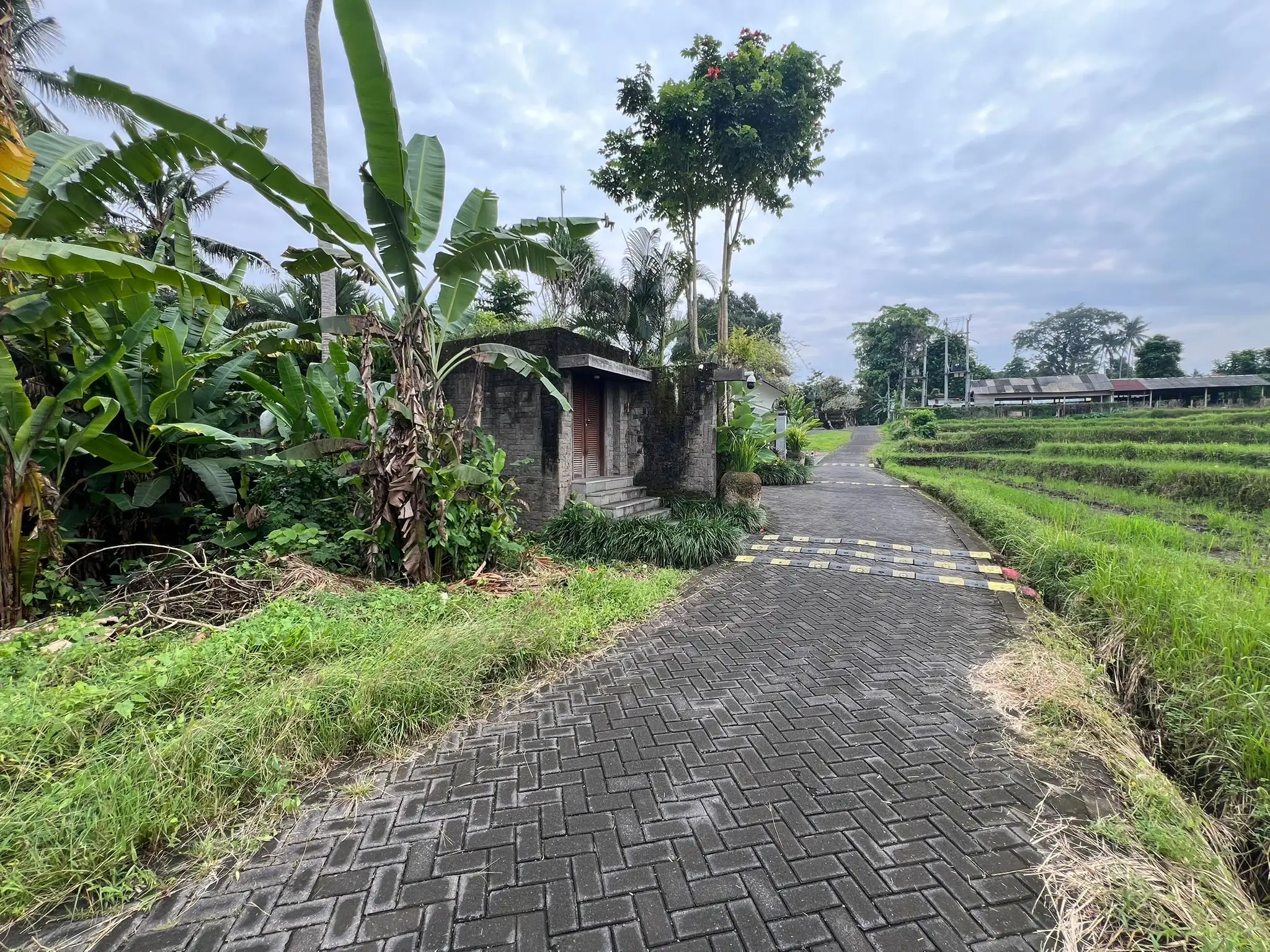 Land 0m² in Indonesia, Ubud. Priced at 224500$ rent photo-9