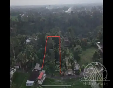 Buy in Indonesia for 224500$