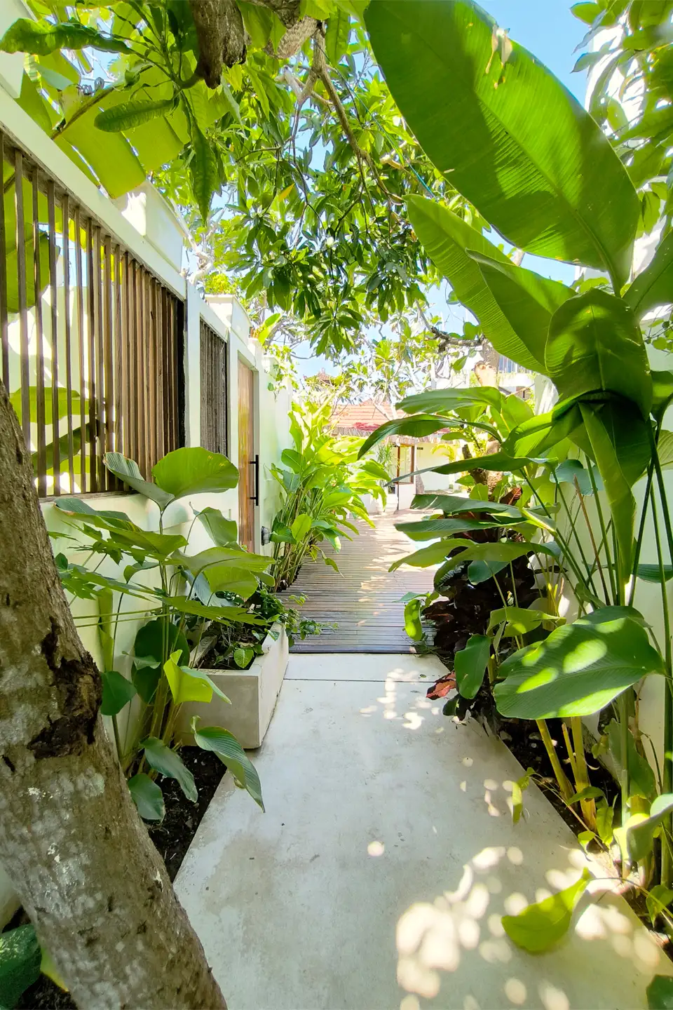 Other Properties 610m² in Indonesia, Canggu. Priced at 1500000$ rent photo-4
