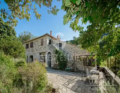 Buy in Italy for 1300000€