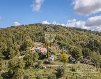 Buy in Italy for 990000€