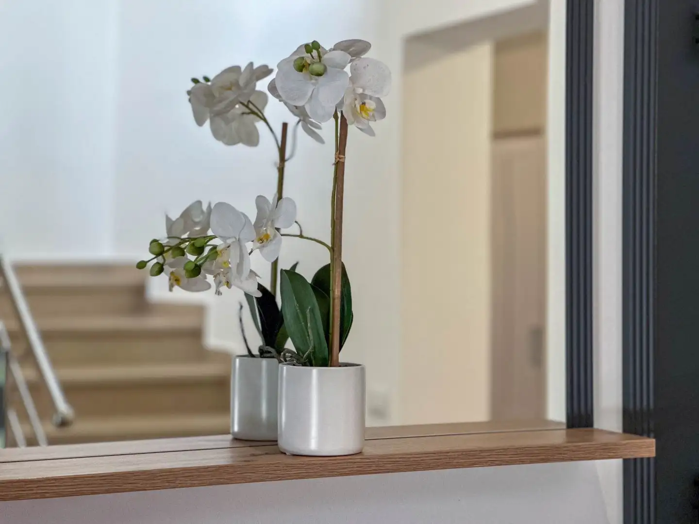 Villa 277m² in Croatia, Medulin. Priced at 1590000€ rent photo-23