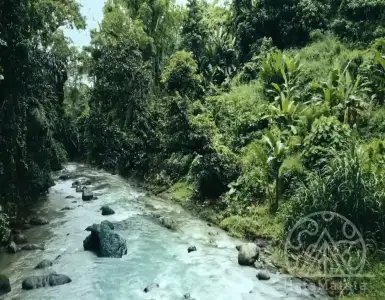 Buy in Indonesia for 304189$