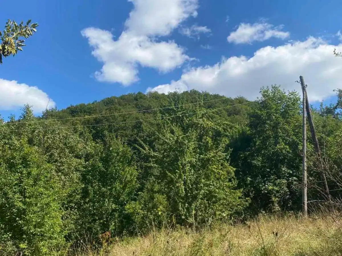 Land 1m² in Montenegro, Kolasin. Priced at 3990000€ rent photo-1