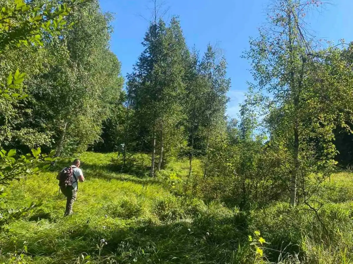 Land 1m² in Montenegro, Kolasin. Priced at 3990000€ rent photo-2