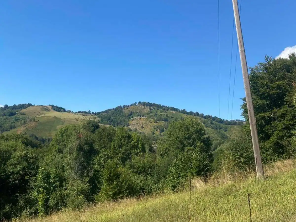 Land 1m² in Montenegro, Kolasin. Priced at 3990000€ rent photo-4