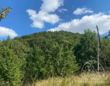 Buy in Montenegro for 3990000€