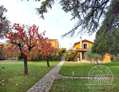 Buy in Slovenia for 1649000€