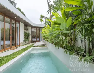 Buy in Indonesia for 210000$