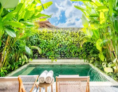 Buy in Indonesia for 240000$