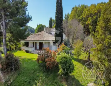 Buy in Italy for 320000€