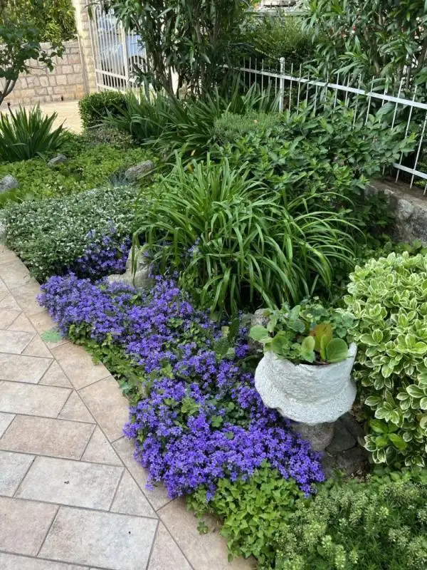 Villa 243m² in Croatia, Umag. Priced at 1500000€ rent photo-11