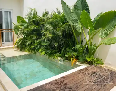 Buy in Indonesia for 150000$